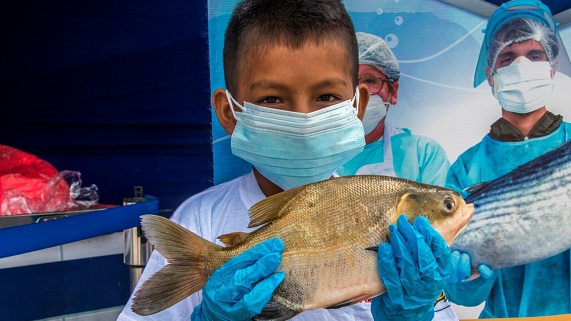 Mi Pescadería Ucayali