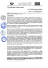 Vista preliminar de documento RD-N-034-2021.pdf