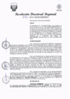 Vista preliminar de documento RDR 011.pdf