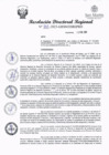 Vista preliminar de documento RDR 013.pdf