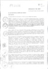Vista preliminar de documento ORDENANZA-N°295-2020.pdf