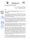 Vista preliminar de documento RD-N-419-2021.pdf