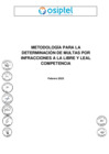 Vista preliminar de documento Informe metodológico