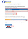 Vista preliminar de documento IP01.1 - Instrucciones-Consulta y Pagos del Aporte por Regulación