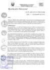 Vista preliminar de documento RD-N-411-2021.pdf