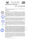 Vista preliminar de documento RD-N-410-2021.pdf