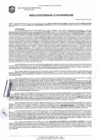 Vista preliminar de documento R.G N° 0023-2023-MPS-GDE.pdf