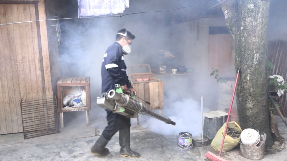DENGUE
