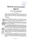 Vista preliminar de documento RGGR 11-2023-GRL-GGR.pdf