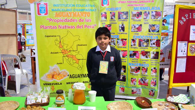 imagen