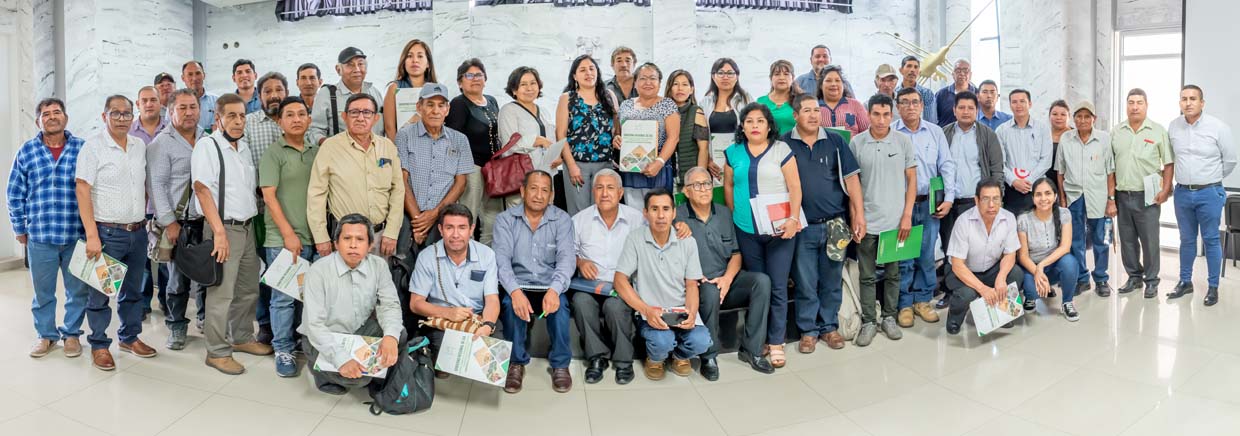 Nota de prensa