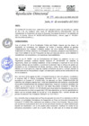 Vista preliminar de documento RD-N-390-2021.pdf