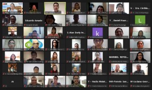 Médicos de diversas regiones y residentes de Medicina Física y Rehabilitación inician curso virtual sobre certificado de discapacidad