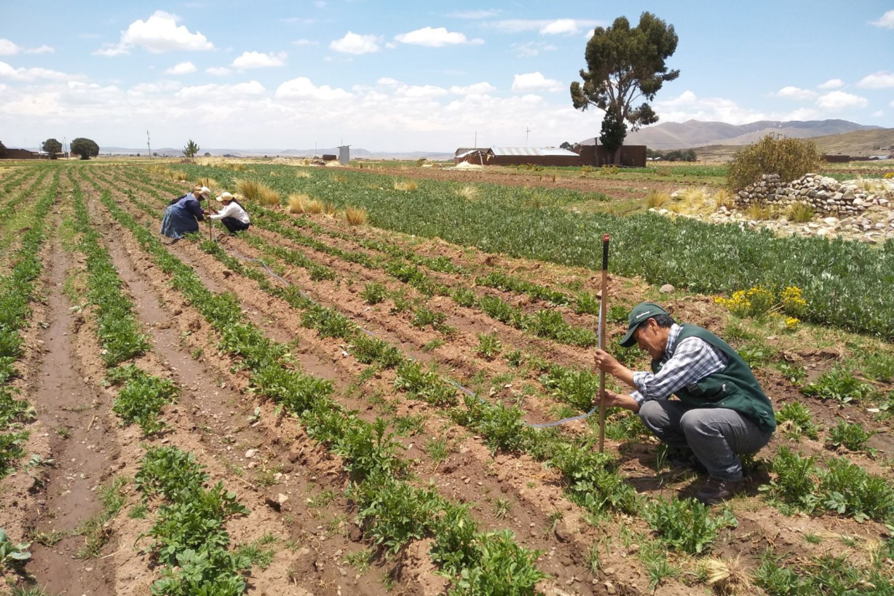 Diálogos Agro Rurales - Arequipa