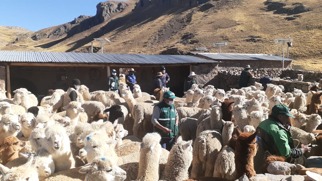 Diálogos Agro Rurales - Arequipa