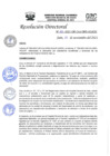Vista preliminar de documento RD-N-385-2021.pdf
