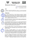 Vista preliminar de documento RD-N-381-2021.pdf