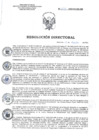 Vista preliminar de documento RD 120-2022-SA-DG-INR.pdf