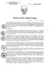 Vista preliminar de documento RD 121-2022-SA-DG-INR.pdf