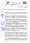 Vista preliminar de documento RD-N-101-2020.pdf