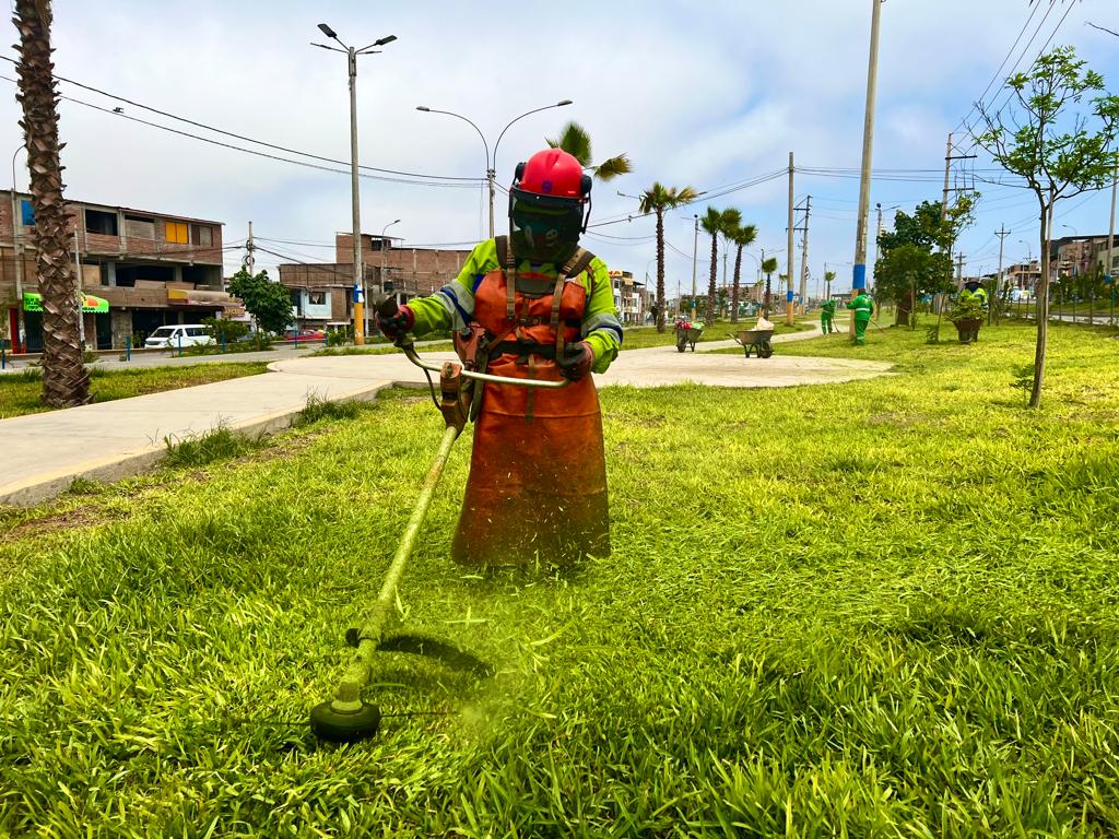 Corte de Grass, Subgerencia de Parques y Jardines.
