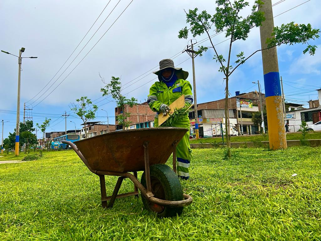 Subgerencia de Parques y Jardines.
