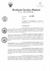 Vista preliminar de documento RER 309-2022