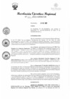 Vista preliminar de documento RER 313-2022
