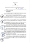 Vista preliminar de documento RER N°263-2023-GR