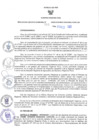 Vista preliminar de documento RER N°264-2023-GR