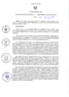 Vista preliminar de documento RER N°266-2023-GR