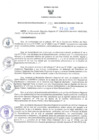 Vista preliminar de documento RER N°270-2023-GR