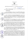 Vista preliminar de documento RER N°273-2023-GR