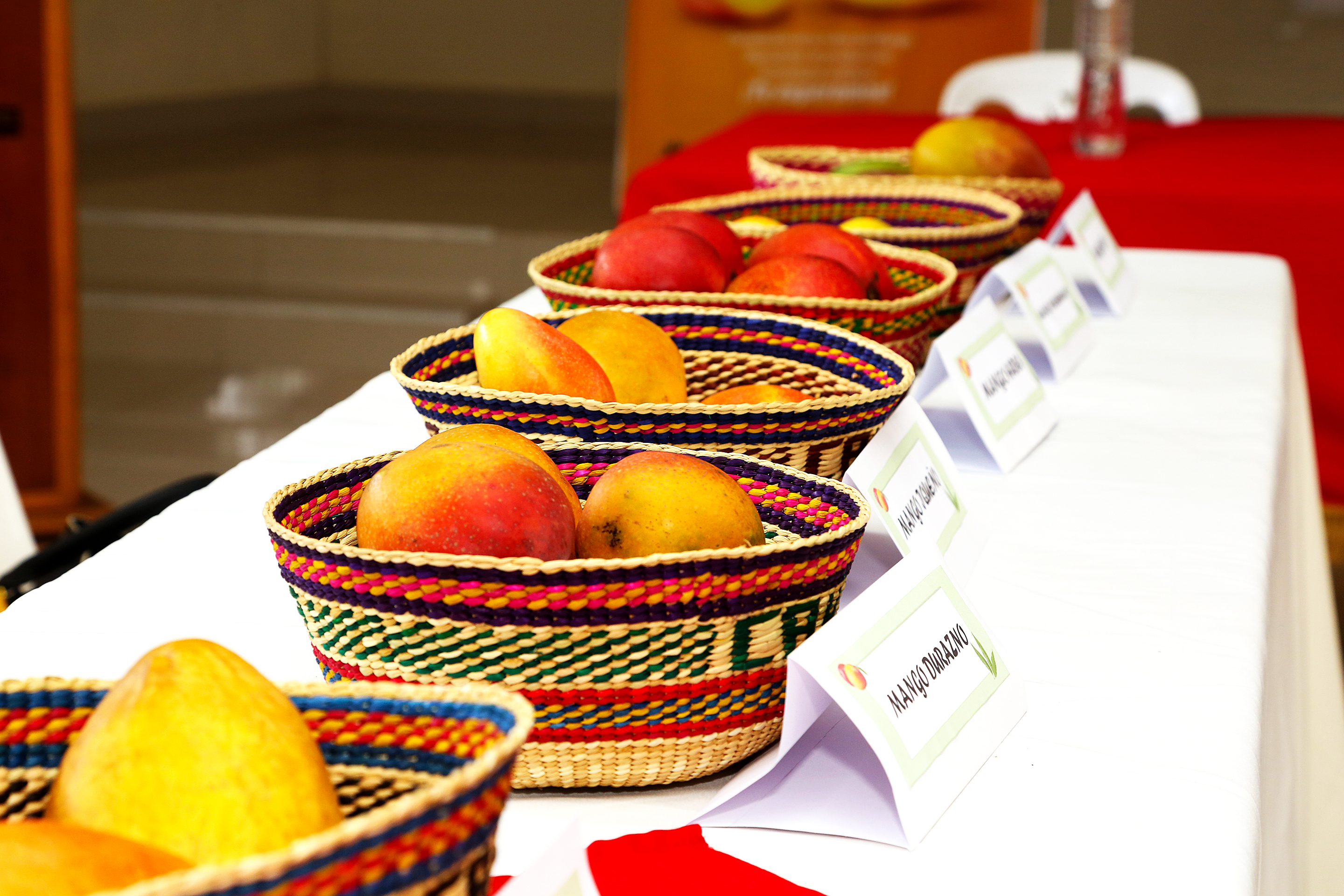 Lanzamiento del XI Festival del Mango de Cahua