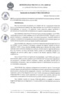 Vista preliminar de documento RA13