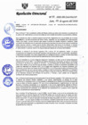 Vista preliminar de documento RD-N-133-2020.pdf