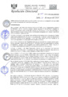 Vista preliminar de documento RD-N-131-2021.pdf