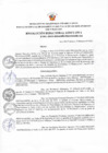 Vista preliminar de documento RDE Nº031-2023-MIDAGRI-PROVRAEM-DE.pdf