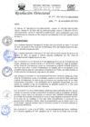 Vista preliminar de documento RD-N-357-2021.pdf