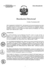 Vista preliminar de documento RD 223-2021-SA-DG-INR.pdf