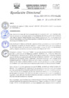 Vista preliminar de documento RD-N-335-2021.pdf