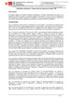 Vista preliminar de documento TUPA 2025
