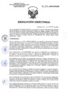 Vista preliminar de documento RD 006-2020-SA-DG-INR