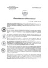 Vista preliminar de documento RD 011-2020-SA-DG-INR