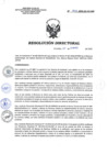 Vista preliminar de documento RD 005-2020-SA-DG-INR