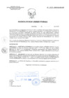 Vista preliminar de documento RD 023-2020-SA-DG-INR