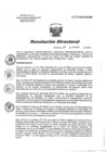 Vista preliminar de documento RD 007-2020-SA-DG-INR