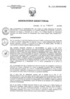 Vista preliminar de documento RD 027-2020-SA-DG-INR