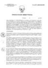 Vista preliminar de documento RD 024-2020-SA-DG-INR