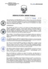 Vista preliminar de documento RD 022-2020-SA-DG-INR